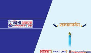 नयाँपुस्ता कुलतमा: प्रभावकारी कदम आवश्यक