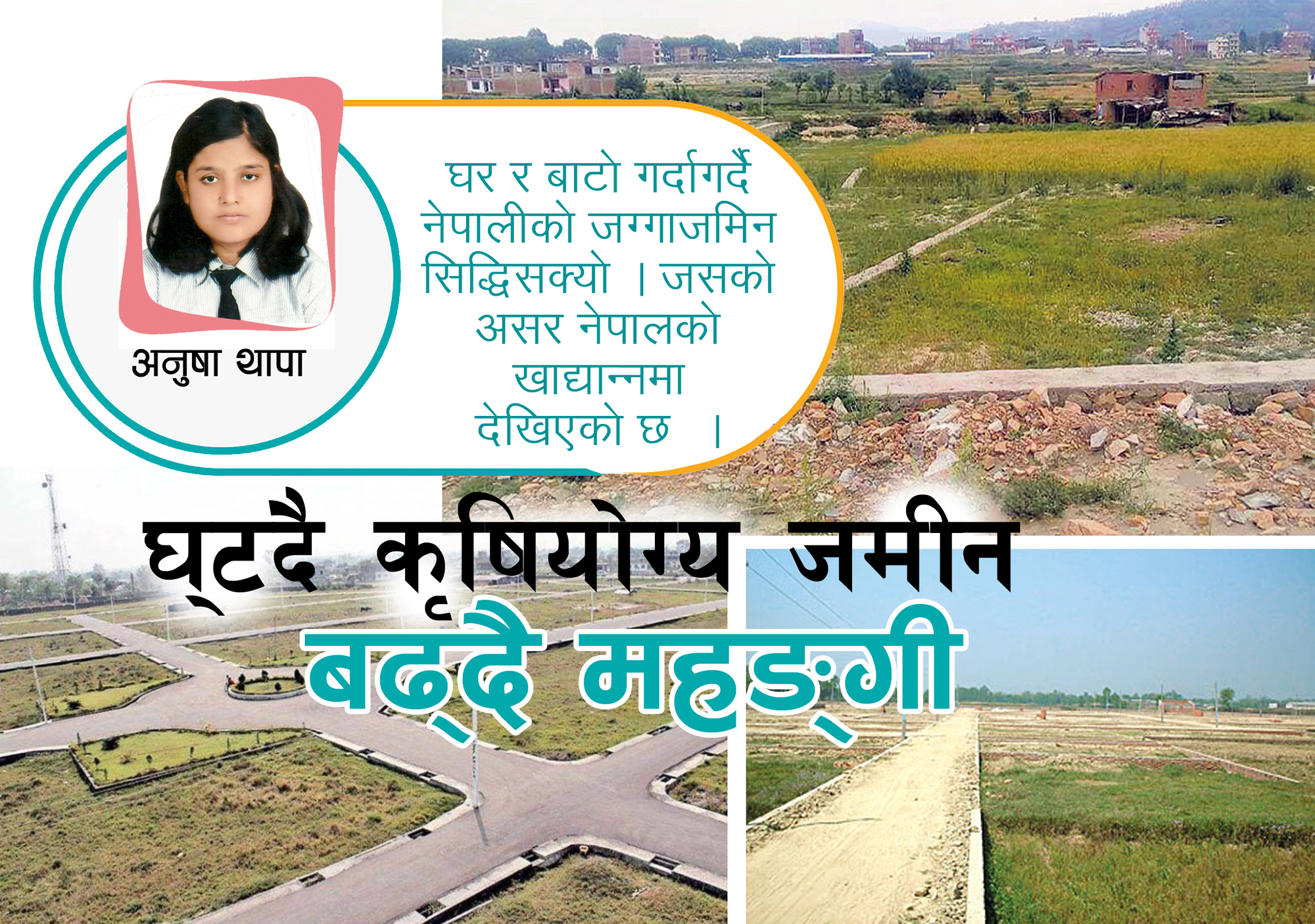 प्लटिङ र घर बनाउने प्रवृत्तिले मङ्हगी बढायो