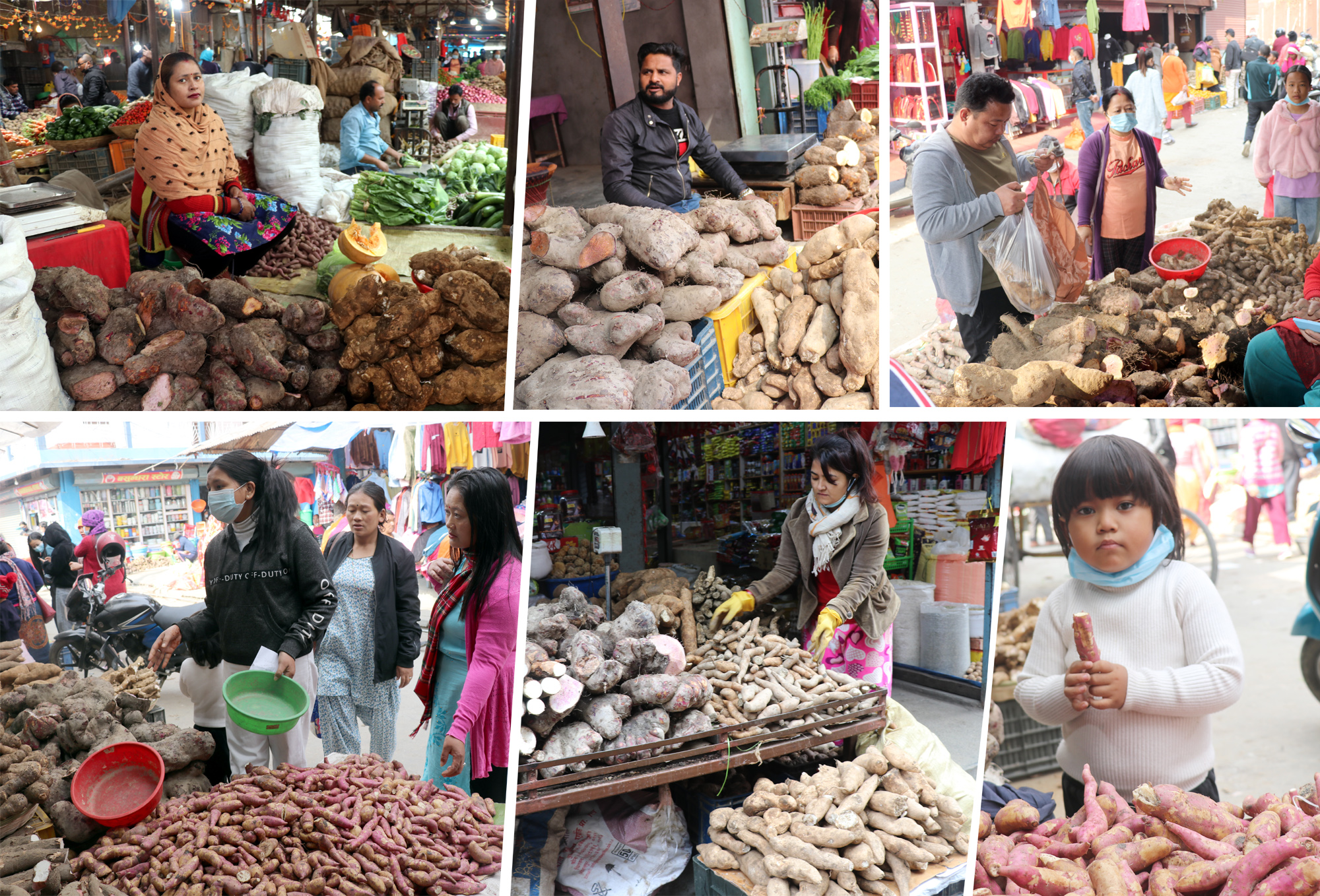 धरानमा यसपटक तरुल सस्तियो