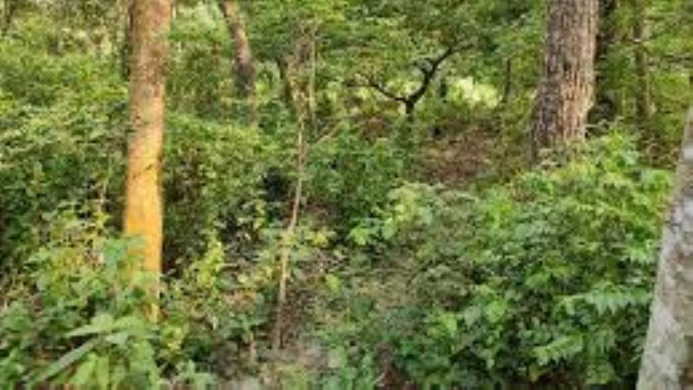 धरानको हरियाली वनमा मृत भेटिएका पुरुषको पहिचान खुल्यो