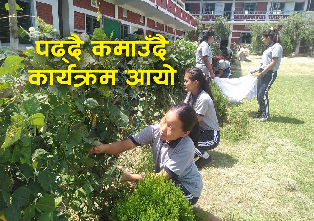 प्रदेश १ का २५ विद्यालय छनौटमा