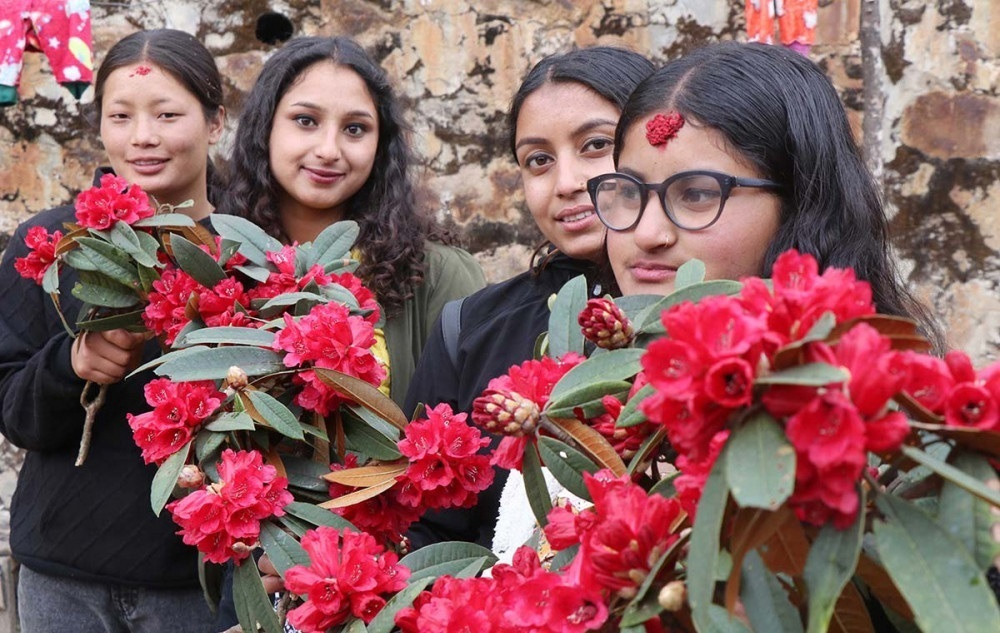 पाथीभरा मन्दिर पुग्ने भक्तजनलाई राष्ट्रिय फूलले स्वागत