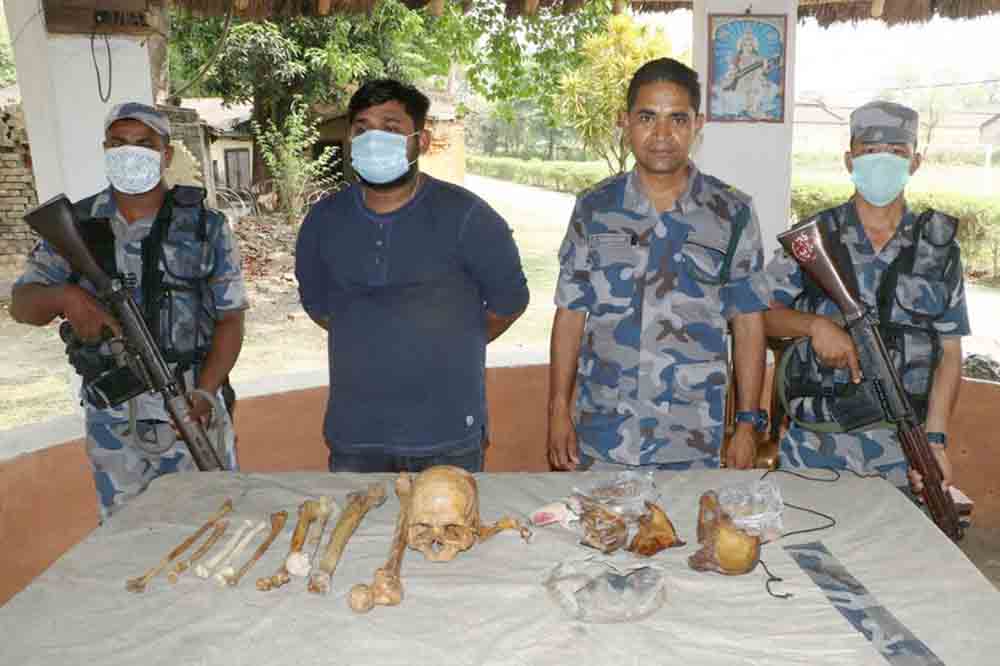मान्छेको टाउकोसहित समातिएका धरानको बीपी प्रतिष्ठानको एबिबिएसका विद्यार्थी छुटे