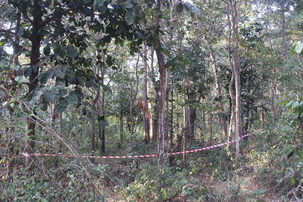 धरान-१७ को जंगलमा च्याउ खोज्न गएकी महिलामाथि बलात्कारको प्रयास