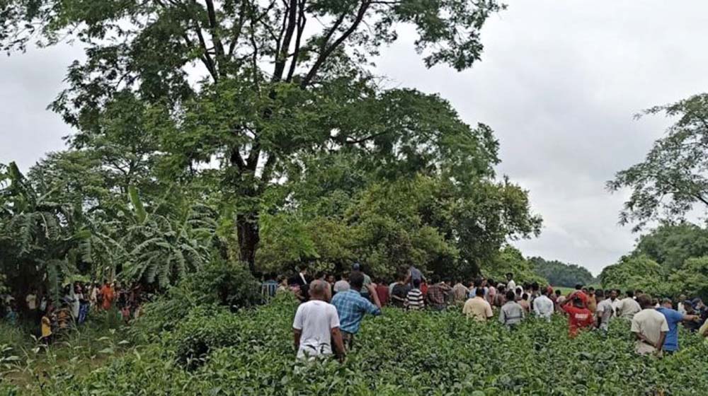 चिया बगानमा रहेको बरको रुखमा तीन किशोरीको शव फेला