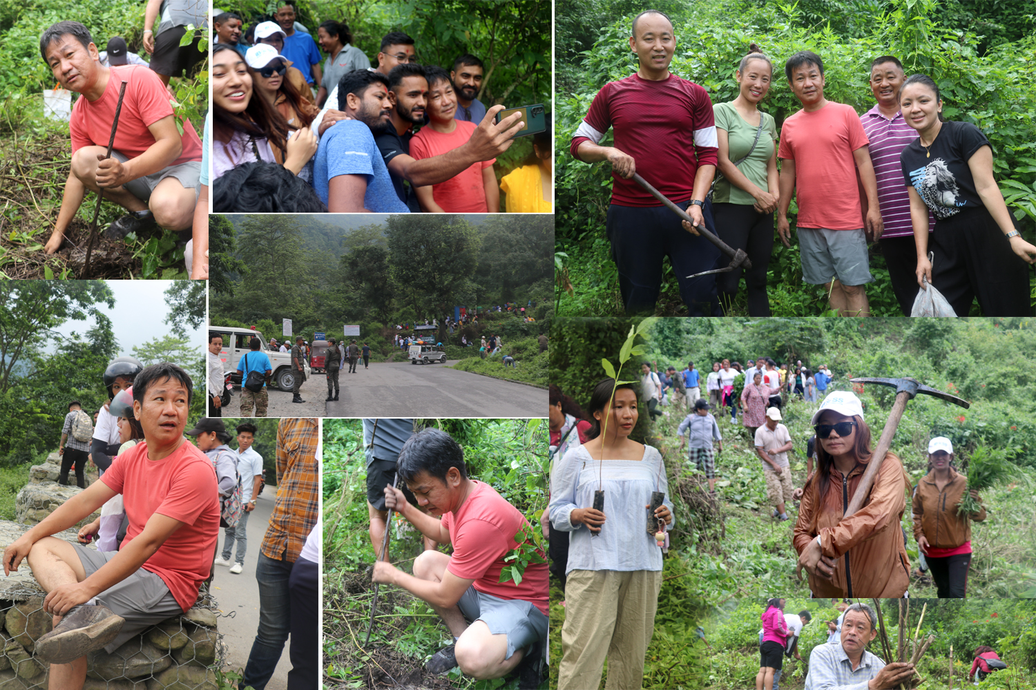 धरानको आँपगाछीमा थरीथरीका विरुवा