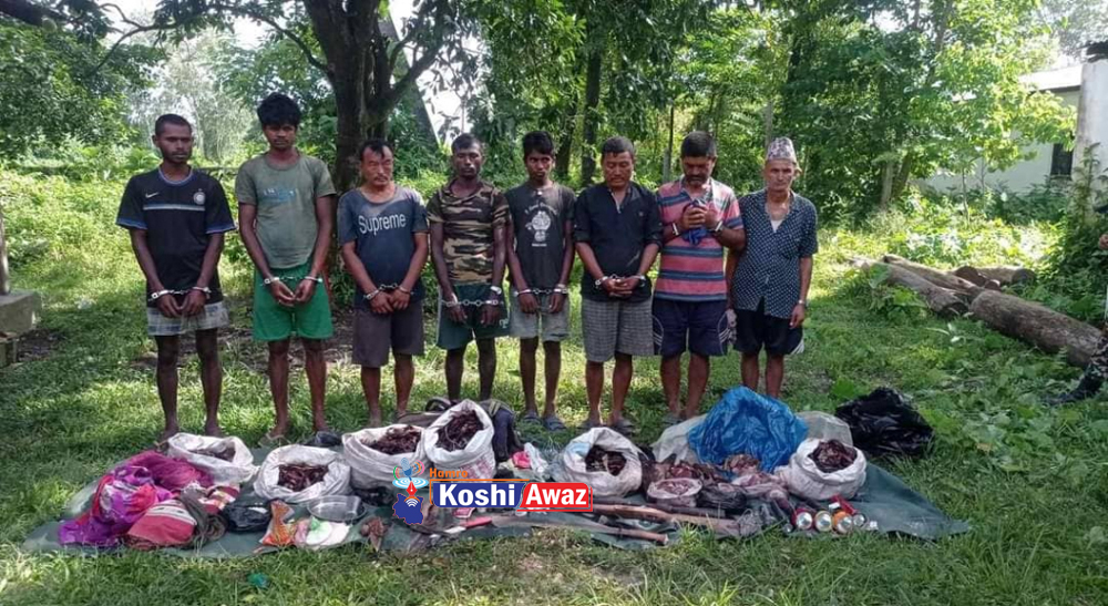 कोशीटप्पुबाट चित्तलको ६५ केजी मासुसहित शिकारी समातिए