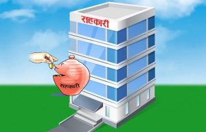 सहकारी डुब्नुमा दोषी को हो ?