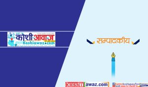 बजारको मनलाग्दी नियन्त्रण गर