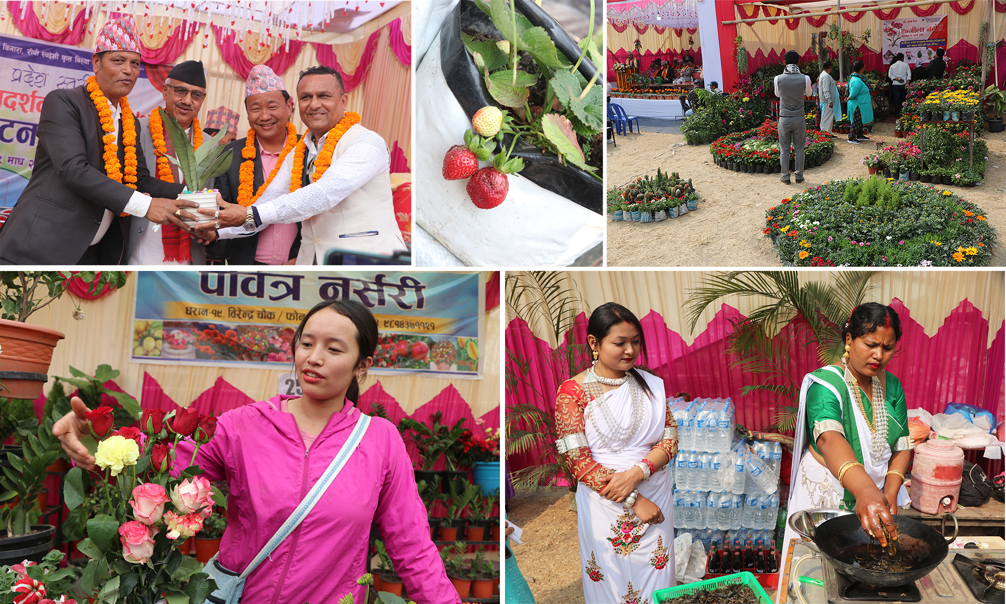 धरानमा फूल (पुष्प) मेला शुरु (३० तस्वीरसहित)