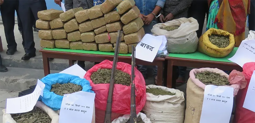 धरानमा कारभित्र गाँजा भेटिएपछि दुईजना समातिए