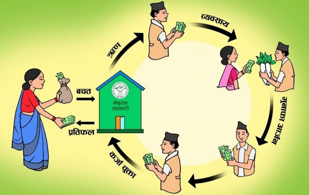 सहकारी धमाधम भाग्न थालेपछि बचतकर्ताहरु चिन्तित