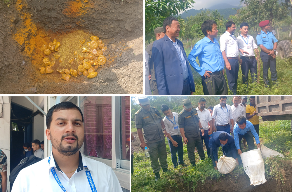 धरानमा १७ सय बढी केजी मिसावट गरिएको बेसार नष्ट, दुई लाख जरिवाना