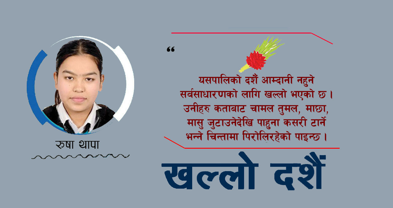 आम्दानी नभएकालाई आएन दशैंको रौनक