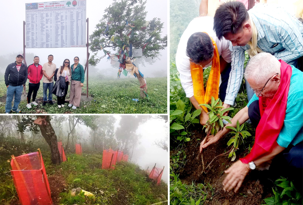 धरानमा कांग्रेसले नेता डा. शेखर कोइराला ल्याएर गुराँस रोप्यो, दियो सन्देश