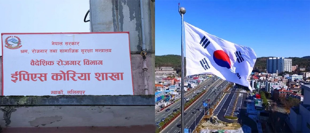 कोरियन भाषा परीक्षा: ६६ हजार बढीले परीक्षा दिएकोमा आठ हजार ९६५ पास