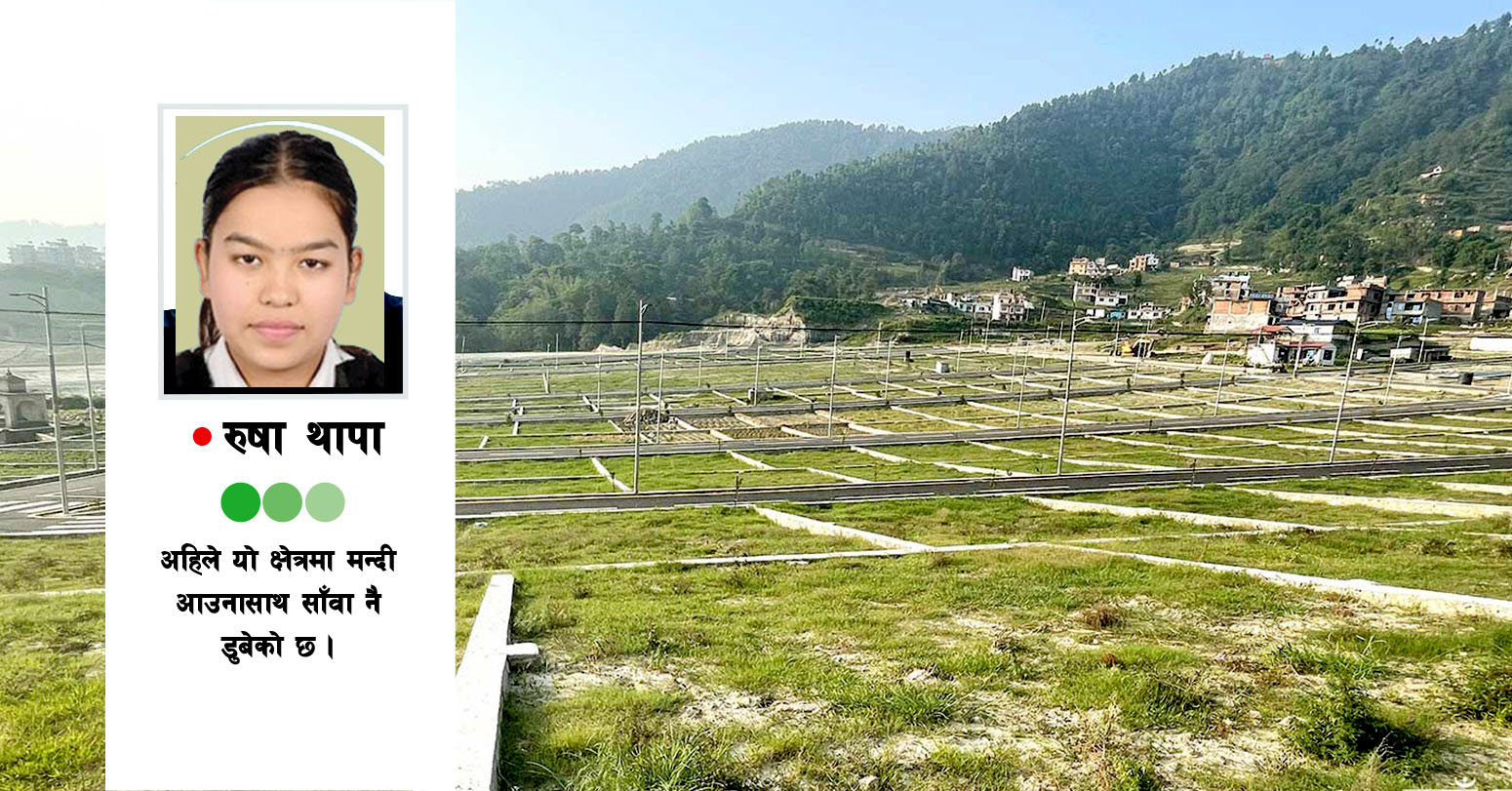 घरजग्गा कारोबारमा झनै मन्दी