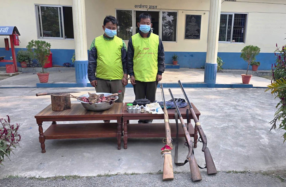 चतराको बगुवामा मृगको मासु काट्दै गरेका दुईजना भरुवा बन्दुकसहित समातिए