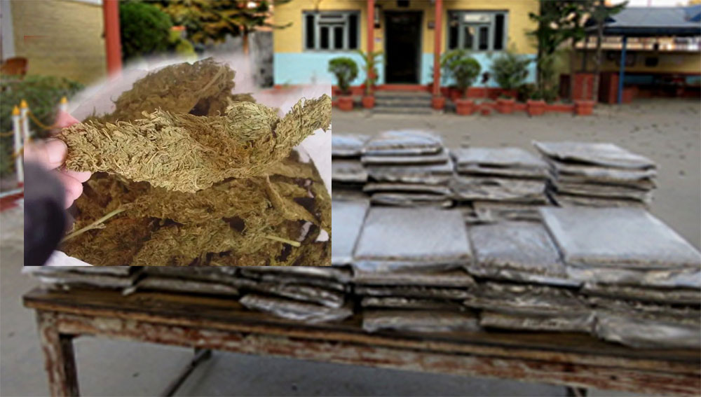 धरानको पानबारी जंगलमा गाडीमा ४१० केजी गाँजा फेला