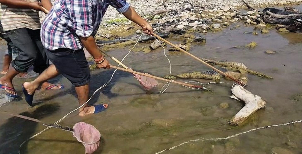 सुनसरीमा करेन्ट लागेर युवाको मृत्यु भएपछि पूर्वपश्चिम लोकमार्ग अवरुद्ध