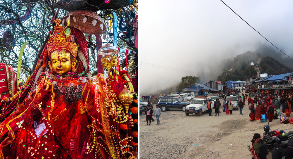 पाथिभरा मन्दिर जाने सिजन शुरु, धमाधम भक्तजन आउन थाले