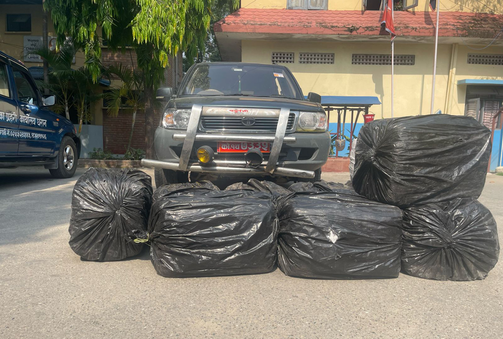 धरानको चिन्डेडाँडाको बाटो हुँदै गाँजा बोकेको स्कारपियो गाडी सूर्यमार्गमा नियन्त्रण, ३ सय केजी गाँजा छाडी चालक भागे