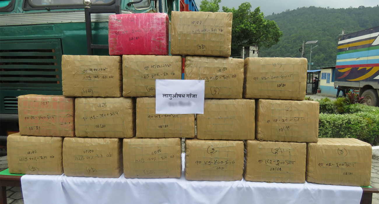 कोशी नदी किनारमा लुकाइराखेको १८० किलोग्राम गाँजा फेला