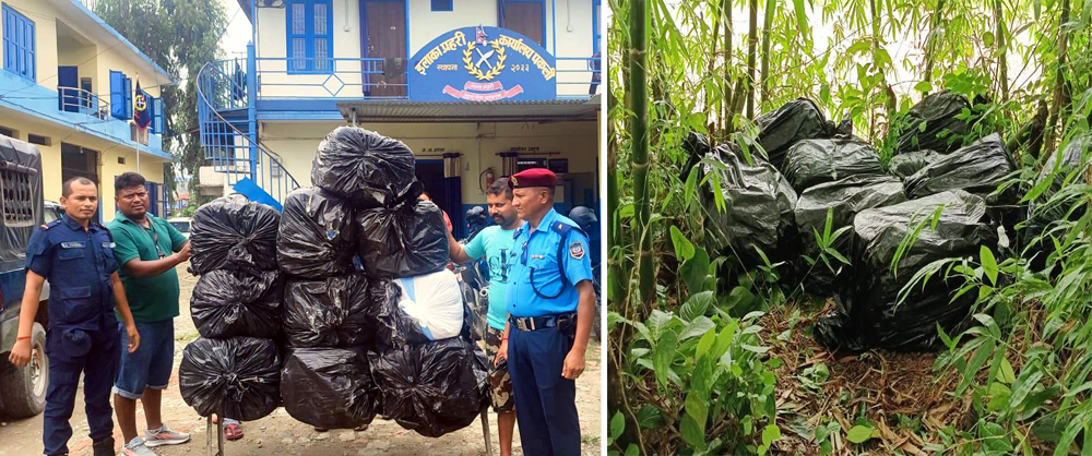 धरानमा लागूऔषधसहित युवायुवती समातिए, बाँसको झ्याङमा लुकाएको अवस्थामा गाँजा फेला