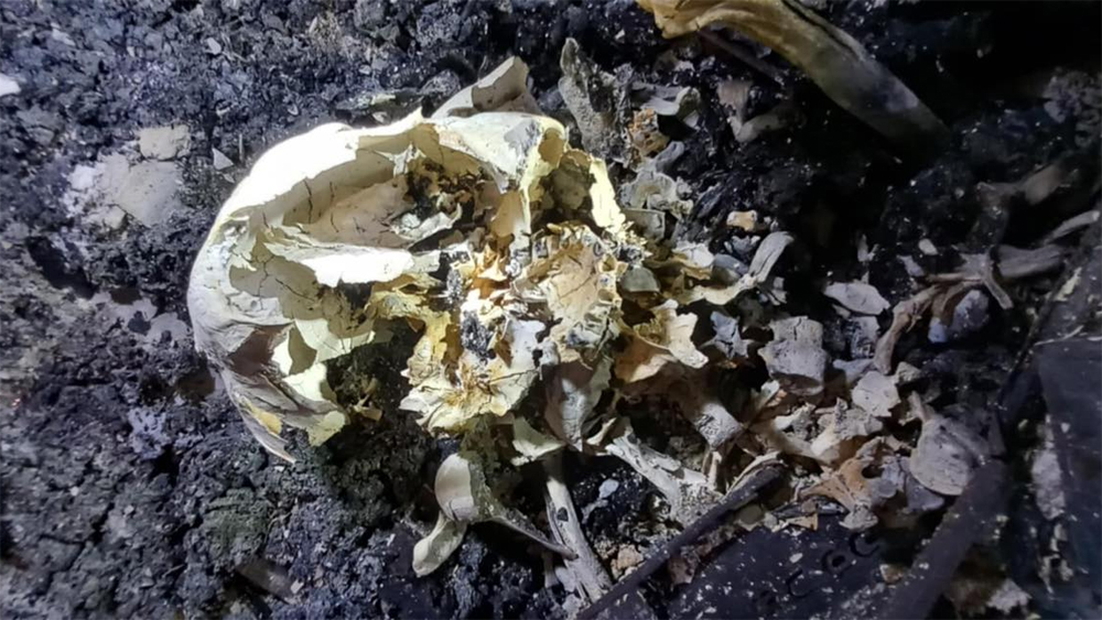 धरानको भाटभटेनीमा चारजनाको मृत्यु, जलेको अवस्थामा शव भेटियो