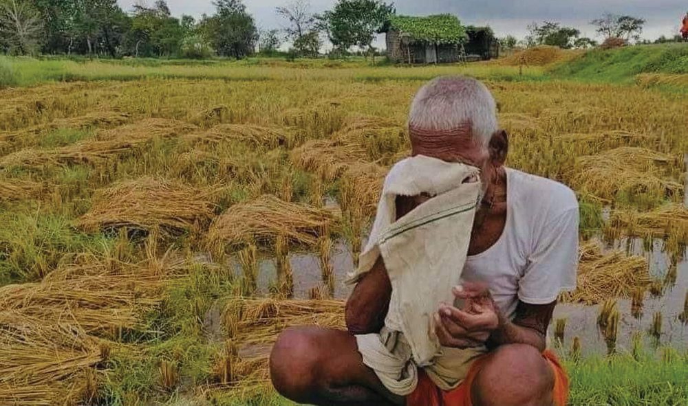बेमौसमी वर्षाले कोशी प्रदेशमा दुई अर्बभन्दा बढीको क्षति, कुन जिल्लामा कति क्षति ?