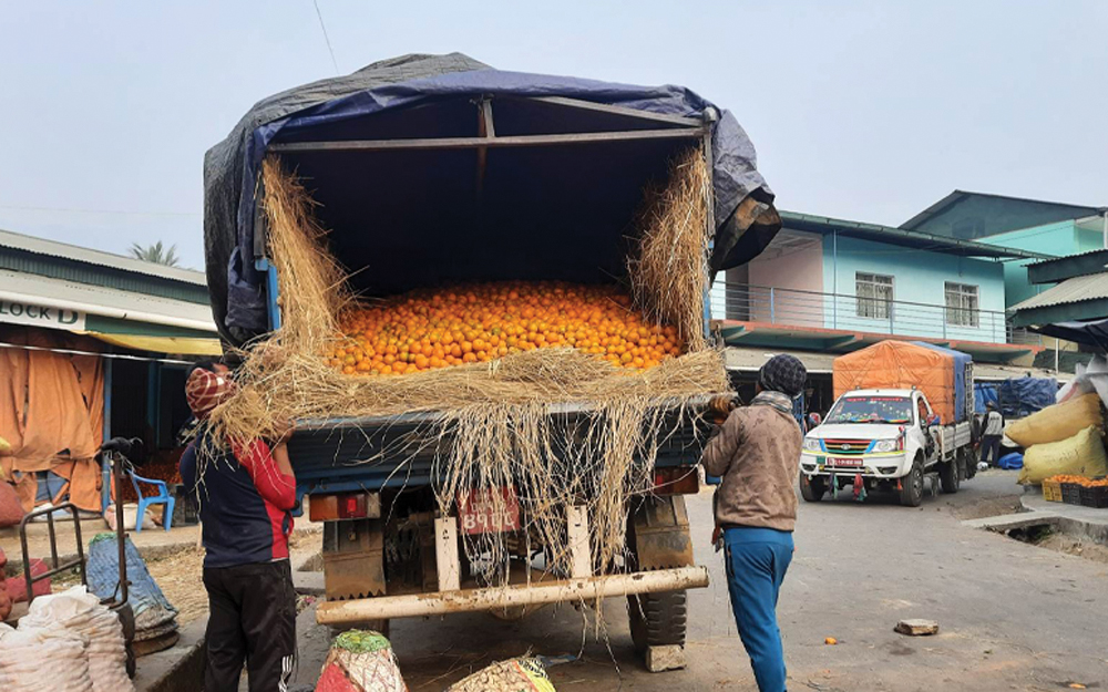 धरानको कृषि बजारमा दैनिक ३० देखि ४० मेट्रिक टन सुन्तलाको कारोबार
