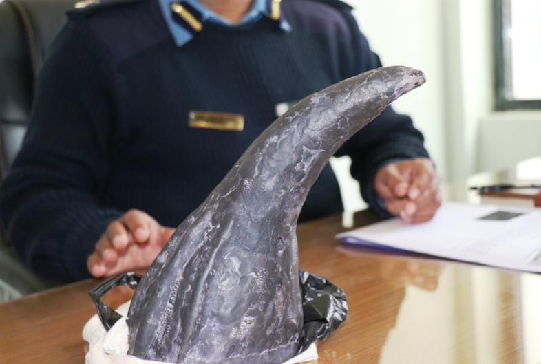 सुनसरीबाट गैँडाको खागसहित चारजना पक्राउ, ठूलो समूहबारे अनुसन्धान हुँदै