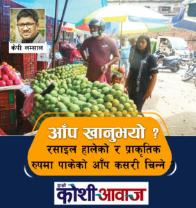 रसायन हालेर पकाइएको र प्राकृतिक रुपमा पाकेको आँप कसरी चिन्ने ?