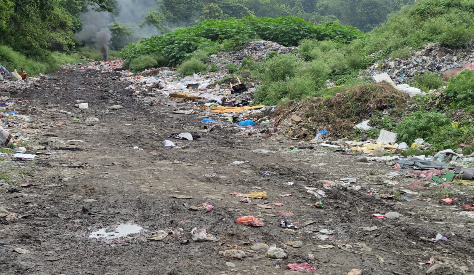 धरानका फोहरमैला जंगल र खोला किनारमा