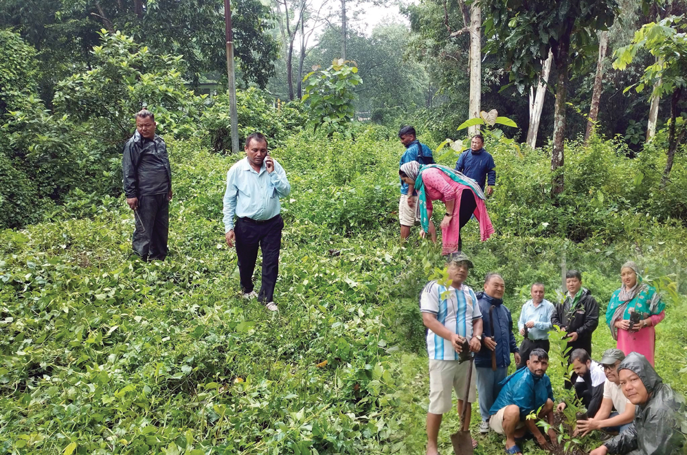 धरानमा रास्वपाले थाल्यो वृक्षारोपण अभियान