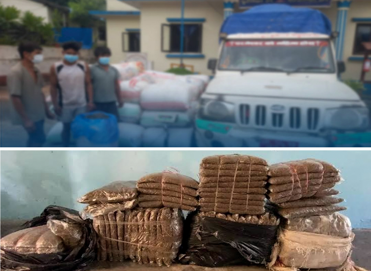 ११२२ केजी गाँजा र बोलेरो गाडीसहित तीनजना समातिए