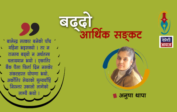 सबै क्षेत्रमा आर्थिक संकट देखिँदै, शेयरको मूल्यचाहिँ कसरी बढ्दै ?