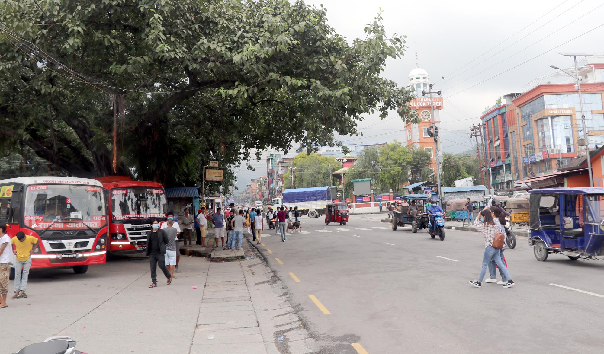 दशैं, तिहार, छठमा गाडी भाडा नबढ्ने