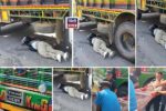 धरानमा दुर्घटना, दीपेन्द्रराज राईको मृत्यु